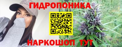 PSILOCYBIN Кулебаки