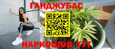 PSILOCYBIN Кулебаки