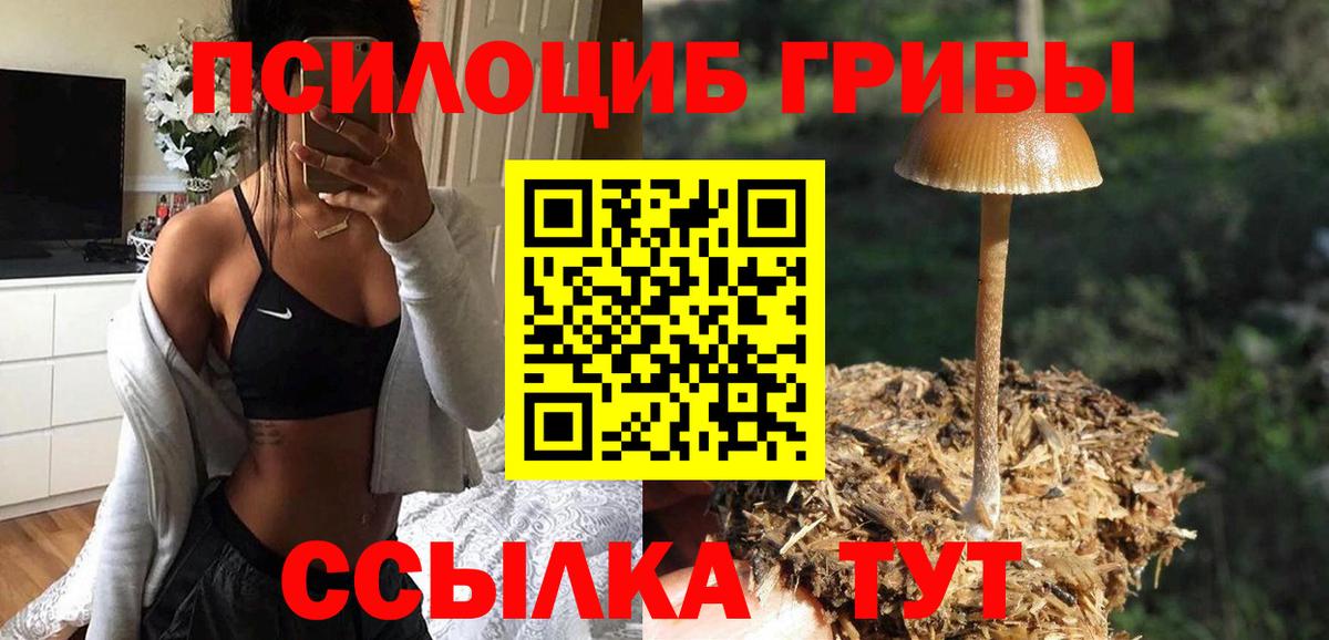 Галлюциногенные грибы Cubensis Шахты
