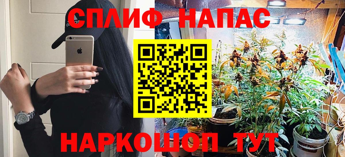 Каннабис конопля Шахты